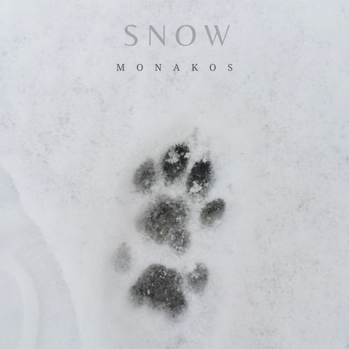 Snow cover art