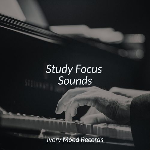 Study Focus Sounds