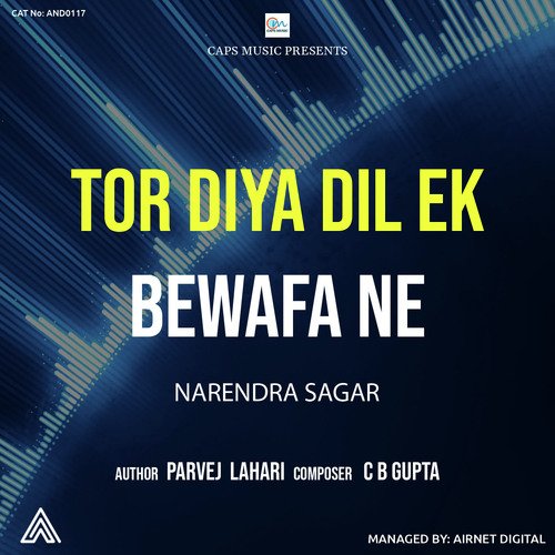 Tor Diya Dil Ek Bewafa Ne_poster_image