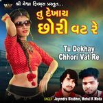 Tu Dekhay Chhori Vat Re