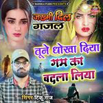 Tune Dhokha Diya Gam Ka Badla Liya