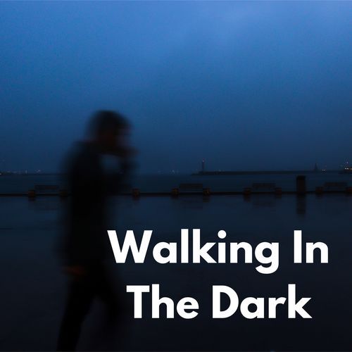 Walking In The Dark