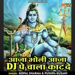 Aaja bholi aaja dj pe chala kaat de (Hindi)