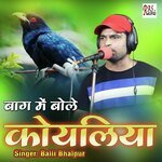 Baag Me Bole Koyaliya