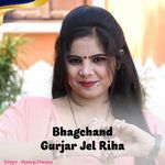 Bhagchand Gurjar Jel Riha Song artwork