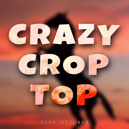 Crazy Crop Top_poster_image