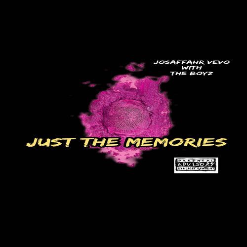 Just The Memories_poster_image