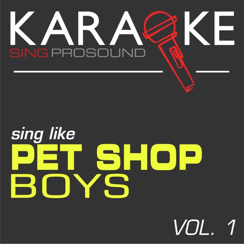 A Different Point of View (In the Style of Pet Shop Boys) [Karaoke Instrumental Version]