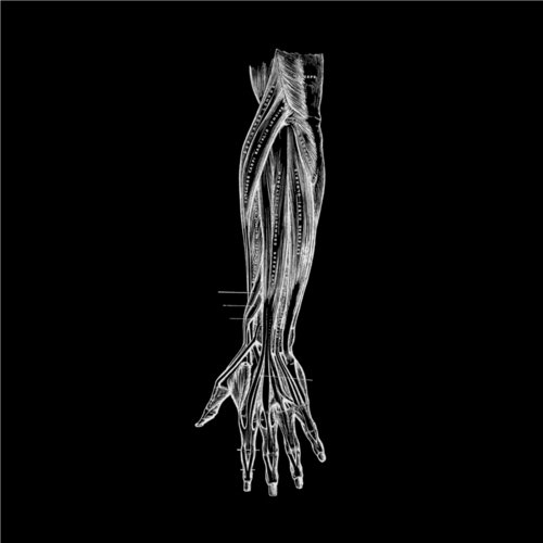 Womb (Aebeloe 'Glisten' Mix) cover art