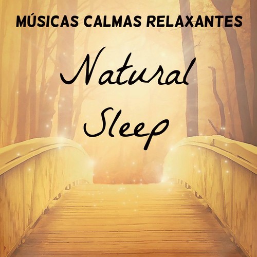 Natural Sleep - Músicas Calmas Relaxantes para Retiro Meditação Chakras do Corpo Tratamento Espiritual com Sons Naturais Instrumentais New Age_poster_image