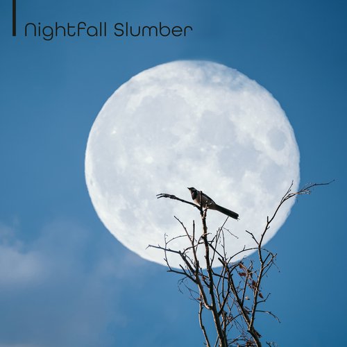 Nightfall Slumber: Guitar Deep Hibernation