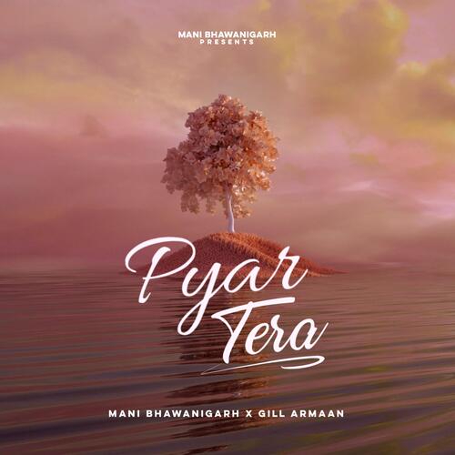 Pyar Tera (feat. Gill Armaan)