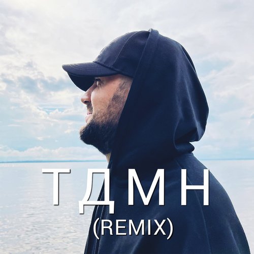 ТДМН (Remix) cover art