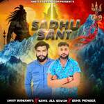 Sadhu Sant साधु संत