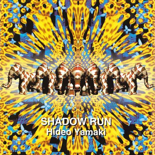 Shadow Run_poster_image