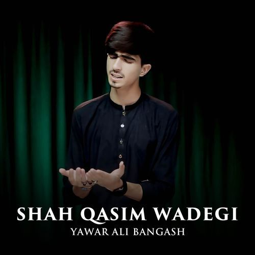 Shah Qasim Wadegi