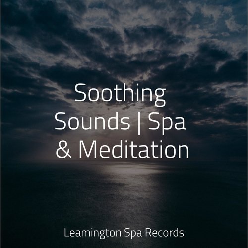 Soothing Sounds | Spa & Meditation