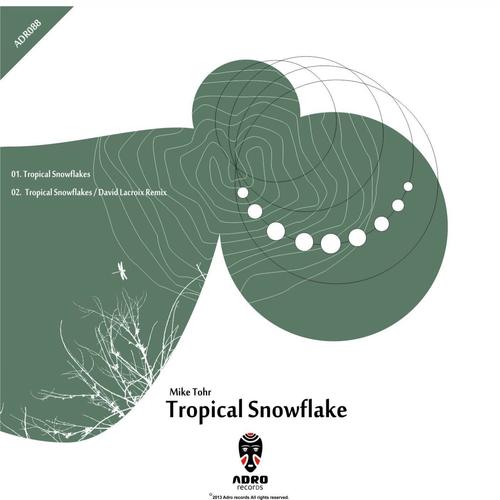 Tropical Snowflakes_poster_image