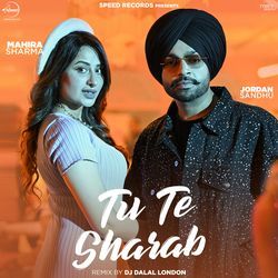 Tu Te Sharab (Remix)