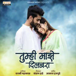 Tumhi Majhe Dilbara-Bl4faAAJXn4