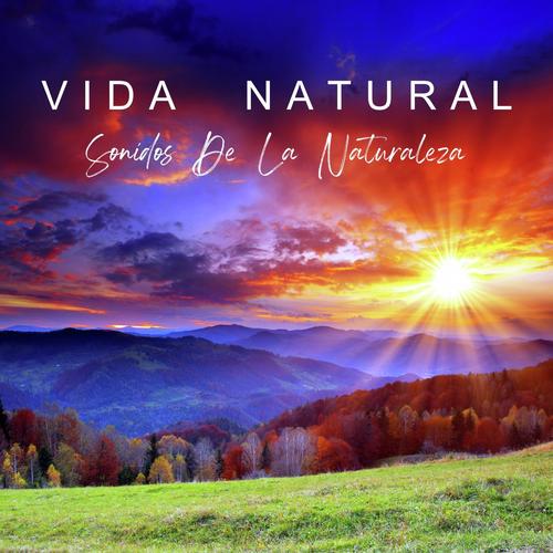 Olas Del Mar cover art