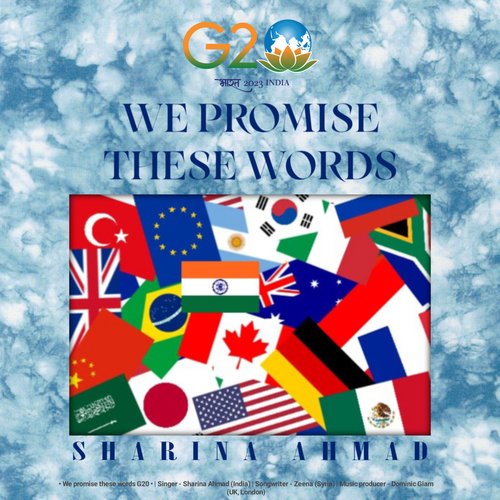 We Promise These Words G20_poster_image