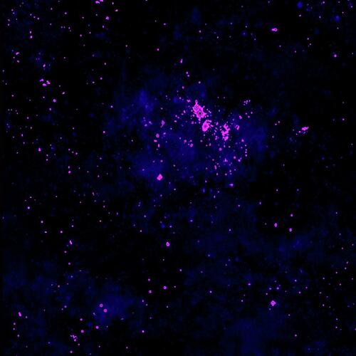 stargazer cover art