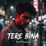 tere bina