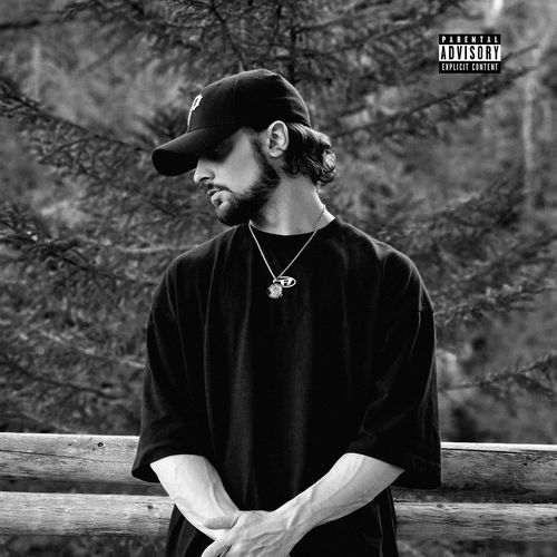 Devin cover art