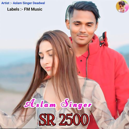 Aslam Singer SR 2500