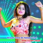 Bhayeli Tome Ek Nabada Chal