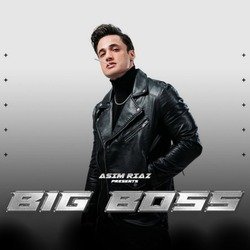 Big Boss-IyIHWDp,AUs