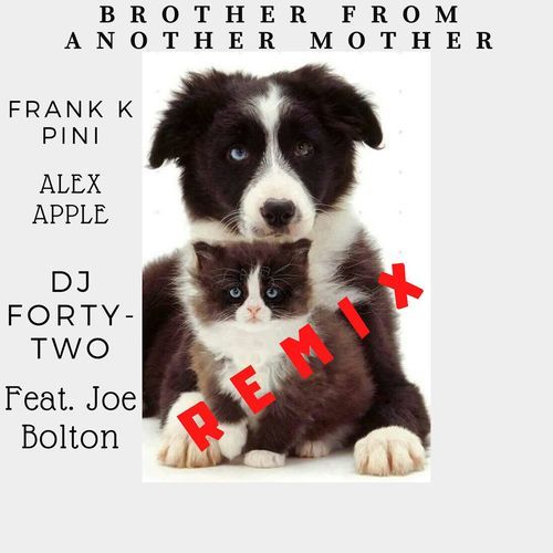 Brother from Another Mother (feat. Joe Bolton) [Salvo DJ Extended Remix] cover art