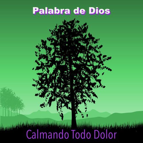 Calmando Todo Dolor_poster_image