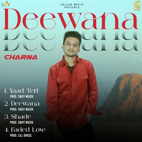 Deewana_poster_image