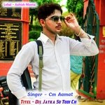 Dil Jatka Su Todi Ch