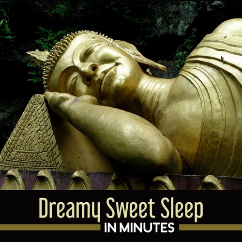 Dreamy Sweet Sleep in Minutes (Silent Zen Music to Fall Asleep Deeply, Therapy Insomnia, Stress Free, Bedtime Aid for Disorders, Meditation Relaxation)_poster_image