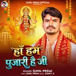 Haan Hum Pujari Hain Ji