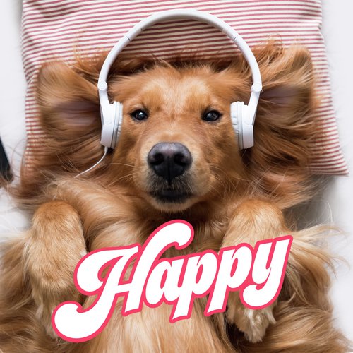 Happy_poster_image