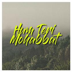Hum Teri Mohabbat