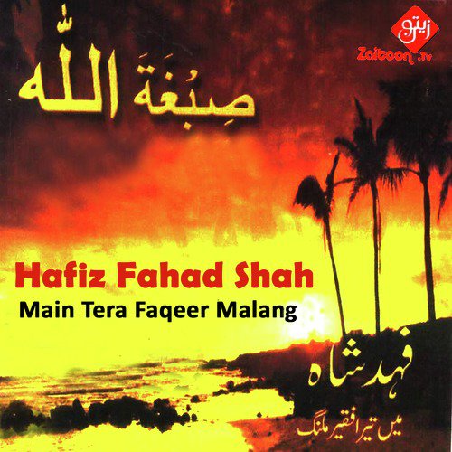 Main Tera Faqeer Malang_poster_image