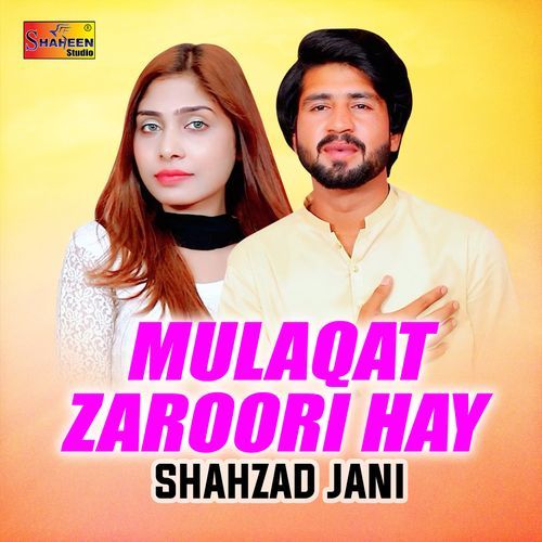 Mulaqat Zaroori Hay