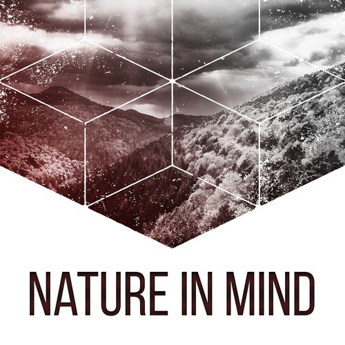 Nature in Mind – Nature Sounds for Relaxation, Singing Birds, Pure Waves, Deep Sleep, Stress Relief, Music for Rest, Soft Melodies