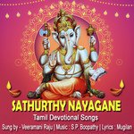 Sathurthy Nayagane