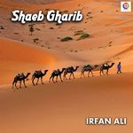 Shaeb Gharib