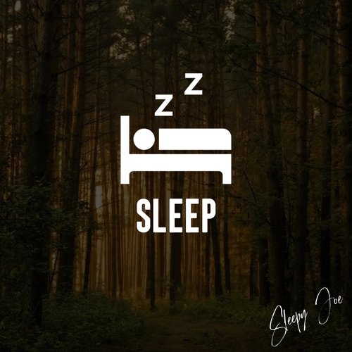 Sleep_poster_image