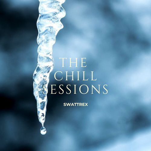 THE CHILL SESSIONS 2 : GOO GOO EYES