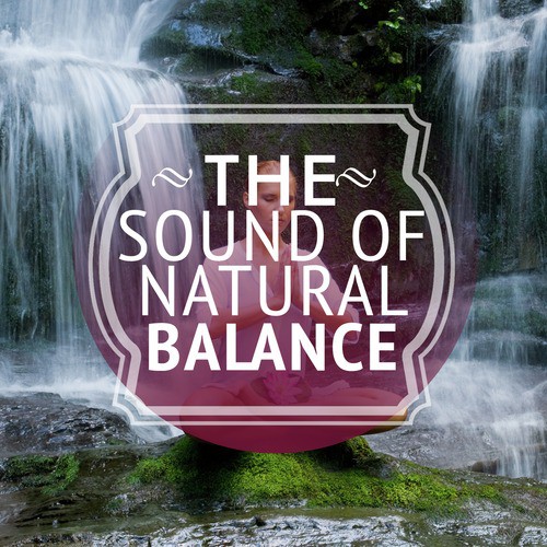 The Sound of Natural Balance_poster_image