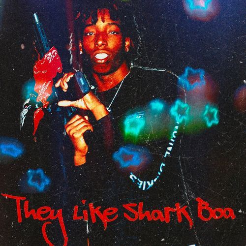 They Like Shark Boa cover art