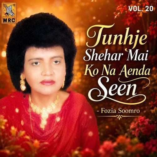 Tunhje Shehar Mai Ko Na Aenda Seen, Vol. 20